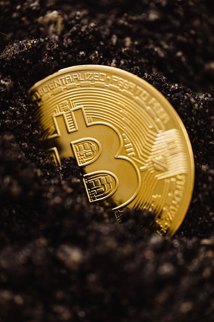 impact-img Close-up of a gold Bitcoin coin emerging from dark soil, representing digital currency growth.